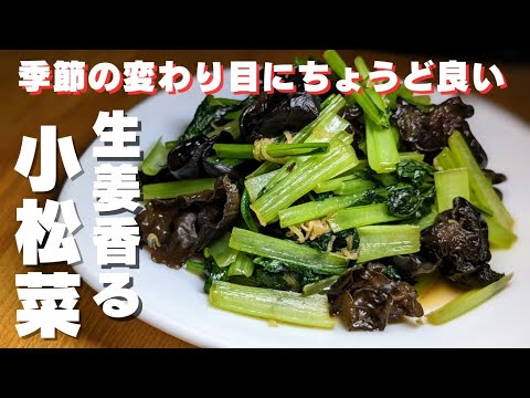 【小松菜簡単レシピ】生姜風味できくらげプリプリ♪簡単＆美味しすぎて箸が止まらない！