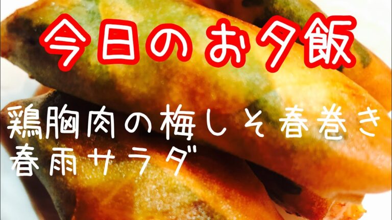 【献立】【作り置き】鶏胸肉の梅しそ春巻き/春雨サラダ　#4