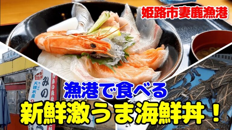 漁港で食べる獲れたてピチピチの海鮮丼が最高に美味かった！（姫路市妻鹿）