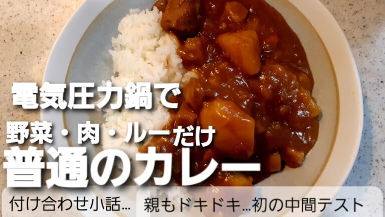 【電気圧力鍋】隠し味も何もない普通のカレー！それが美味しい！