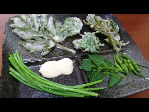 貧乏学生時代の野草料理