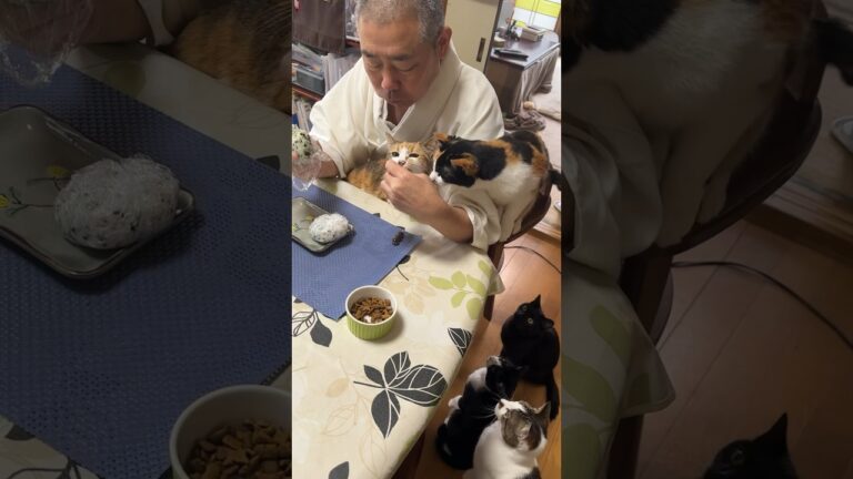 住職の朝ごはん。おにぎり たけのこの煮物 味噌汁