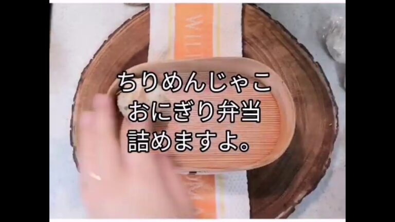 ちりめんじゃこのおにぎり弁当