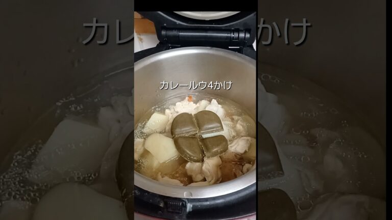 ホットクックでチキンカレーを作ってみた