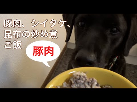 ラブラドールの手作りご飯：豚肉、シイタケ、昆布の炒め煮