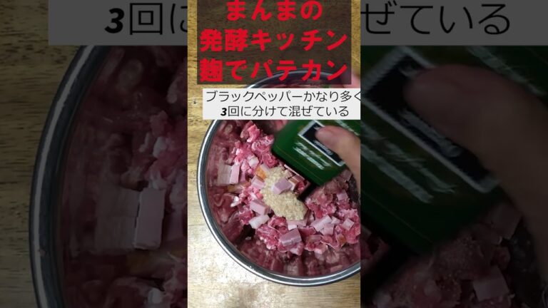 【麹でパテ・カン】【玉ねぎ塩麹使用】家庭で簡単フランス料理風、おせち料理にも(保存OK)、クリスマスにもばえておしゃれ。味付けたったこれだけ‼#shorts #pork #meet