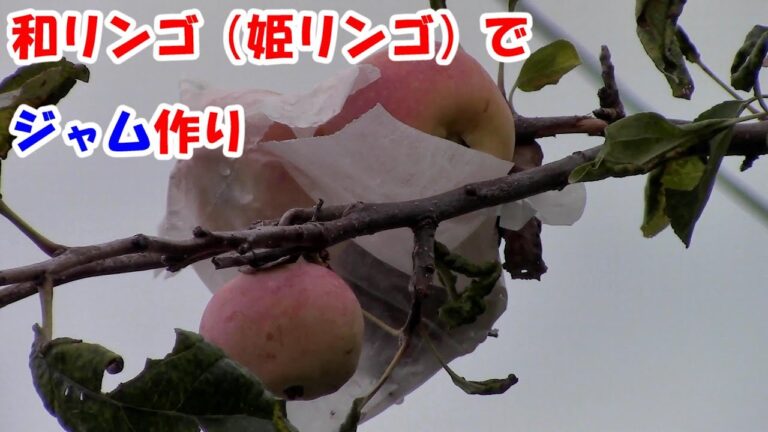 和リンゴ（姫リンゴ）を収穫して ジャム作り 2022.8.17