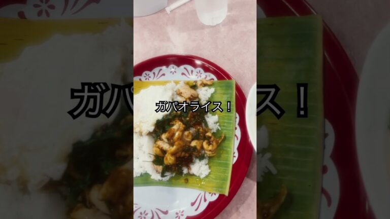 デパートの中にあるフードコートでガパオライスを食べてみた！〜パート1〜