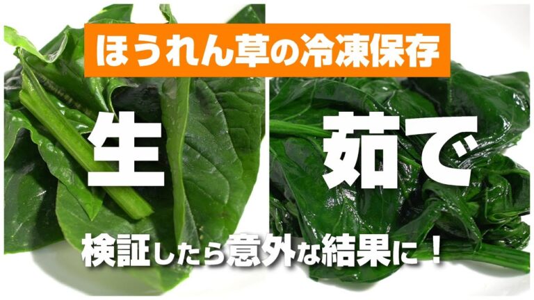 ほうれん草の冷凍保存、生のままと茹でるでどっちが正解か検証したら意外な結果に！