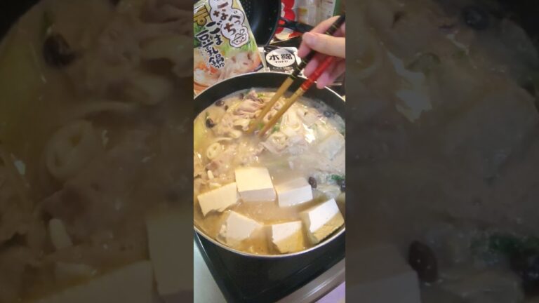 ごま豆乳鍋20210415 #shorts #tofu #soup