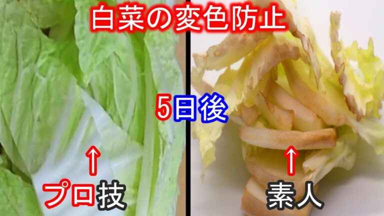 【ザク切り白菜の保存方法】　ハクサイ変色防止とえぐみ取りも出来るやり方の紹介