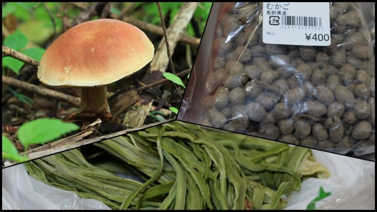 [孤独のきのこグルメ] ムカゴとポルチーニと山くらげの炊き込みご飯 20250102