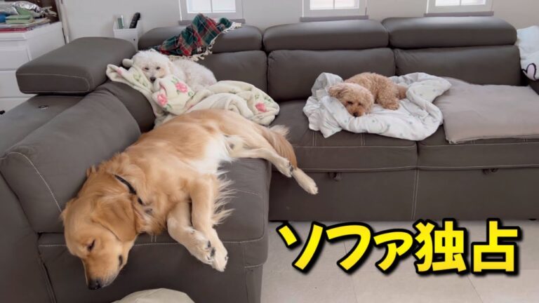 座れませんけど...