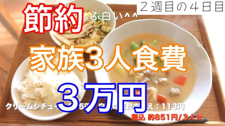 【節約】家族３人食費３万その11  クリームシチュー