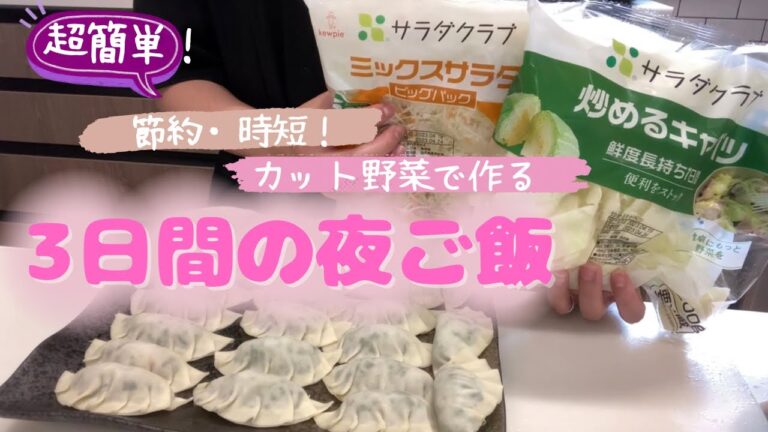 【簡単レシピ】サラダクラブのカット野菜を使った節約主婦の3日間の夜ご飯🍚