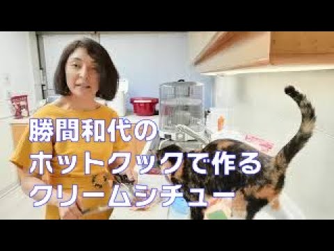 勝間和代のホットクックで作るクリームシチュー。ルー不要で塩とオイルだけで作れます。