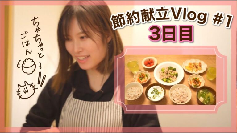 【節約献立Vlog#1】3日目🍳ブロッコリーと豚肉の塩炒め 他｜1500円以内で作る3日間の晩ごはん｜時短メニュー