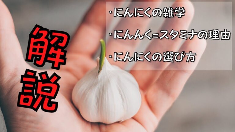 【料理雑学】ニンニクとは？スタミナレシピの代表にんにくを解説