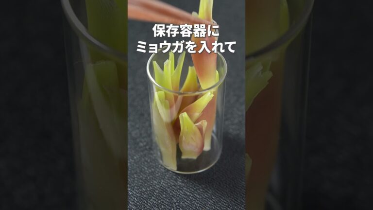 ピンク色がキレイなすっきり副菜◎ミョウガのピクルス【今日のあと一品】【副菜レシピ】 #shorts
