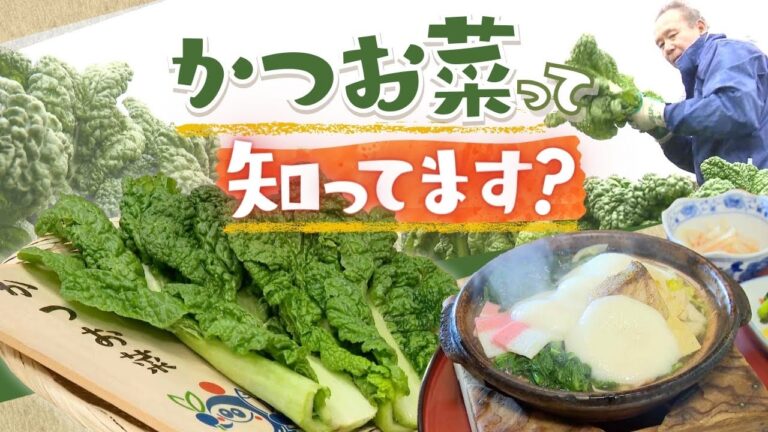 博多雑煮の定番具材「かつお菜」とは～福岡でしか食べられていない？