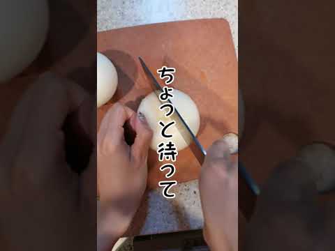 カレーのじゃがいもが苦手な話を友人にしたら微妙な顔されたから同志を募りたくなってアフレコした動画('∇')【おうちごはんvlog】#shorts