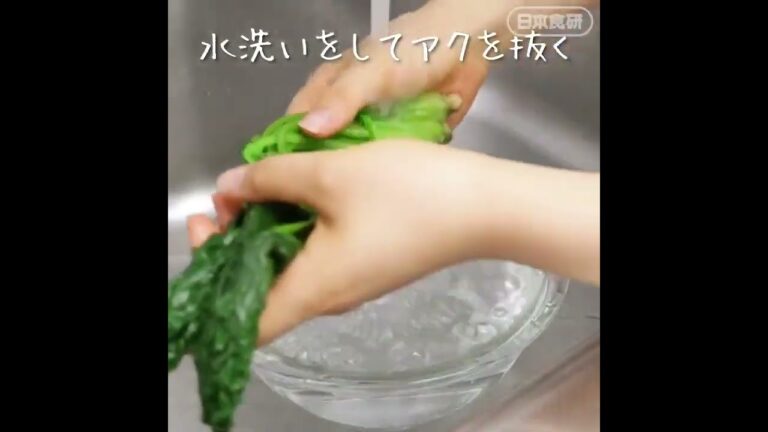 今が旬【ほうれん草ごまあえの作り方】レンジで簡単10分