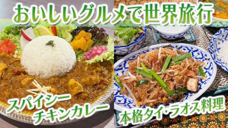 【静岡グルメ】南インドのグルテンフリーなスパイシーカレー＆本場の食材・調味料を使った本格タイ・ラオス料理【とびっきり食堂】