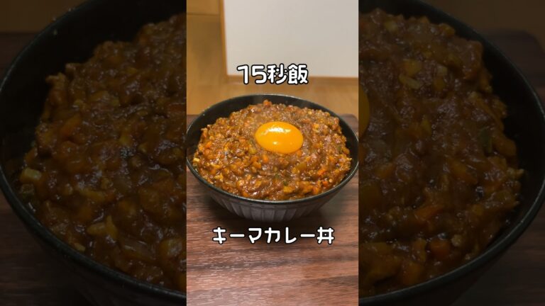 15秒飯　キーマカレーとドライカレーって何が違うん？