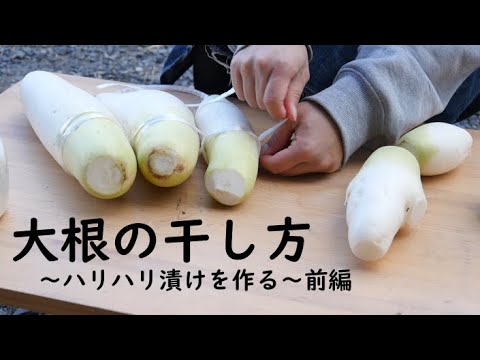 【料理女子】漬物作りの基本・大根の干し方・結び方【ハリハリ漬けを作る｜前編】J-BLASTクッキング
