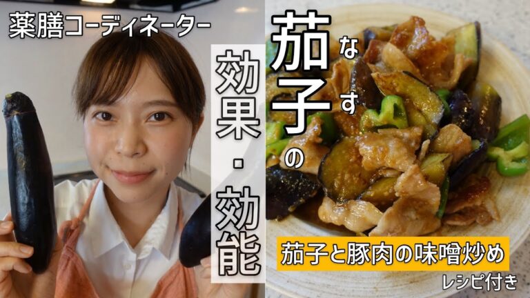 【字幕付き】茄子と豚肉の味噌炒めの作り方【薬膳解説】