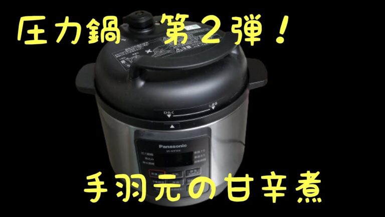 【超簡単】材料入れて時間セットだけ 手羽元の甘辛煮！