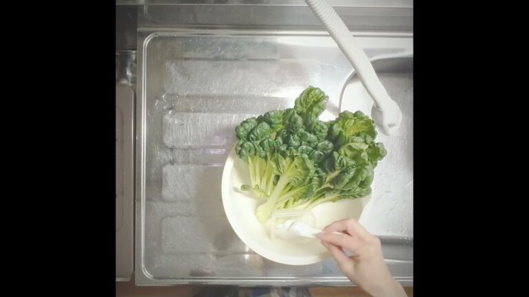 ターサイの漬け物を 作る