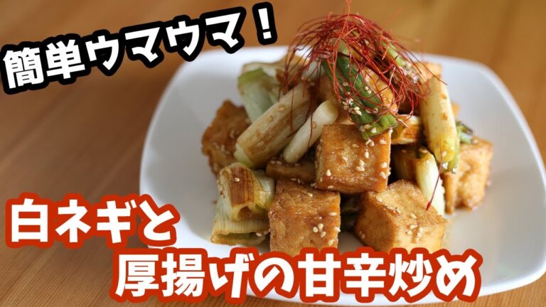 材料２つだけで簡単！ご飯も酒も進む白ネギと厚揚げの甘辛炒めの作り方【厚揚げ】【おつまみ】