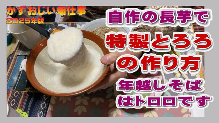 長芋を使った特製とろろの作り方と年越しトロロそば：2025年版