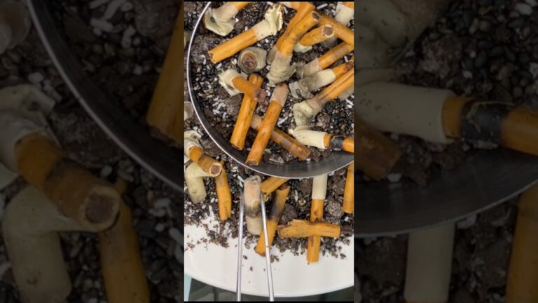 『食べれるシケモク』Edible cigarette butts #topo #シュウマイの皮 #ごましお #nierautomata #2b