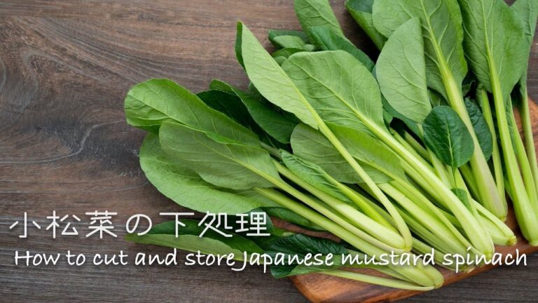 【プロが教える野菜の切り方動画】小松菜の切り方How to cut and store Japanese mustard spinach