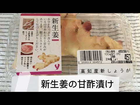 新生姜の甘酢漬け　らっきょう酢