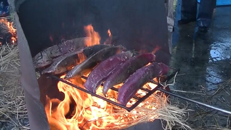 プリプリの戻りガツオ、たたきでも　高知県黒潮町で「もどりガツオ祭」