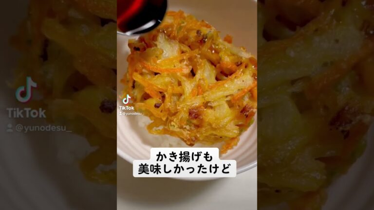 『かき揚げ丼』たれ美味い！！