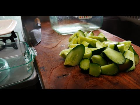 胡瓜の食べ方【結局これが一番うまい】