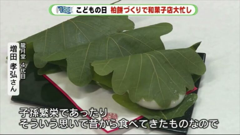 なぜ子供の日にかしわ餅を食べるの？　老舗和菓子店で聞きました　静岡・島田市