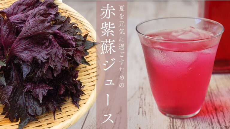 【赤紫蘇ジュース】赤紫蘇シロップの作り方｜夏を元気に乗り切るためのジュース