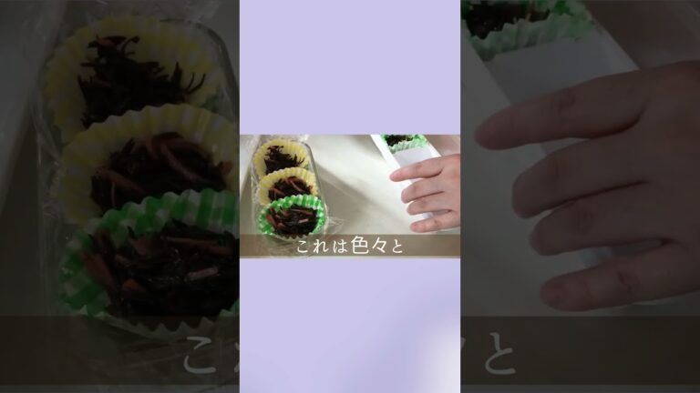 簡単作り置き冷凍おかず／ひじき煮はダイソー購入品の製氷皿で小分け冷凍／Seria