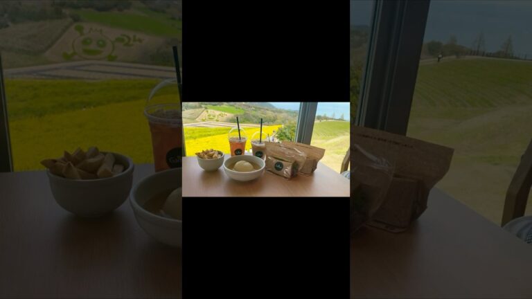 【家族Vlog】玉ねぎ丸ごと１つ入ったスープ Galleri (ギャラリ)で食べるランチ 兵庫県#shorts