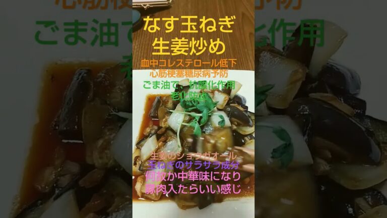 なす玉ねぎ生姜炒め