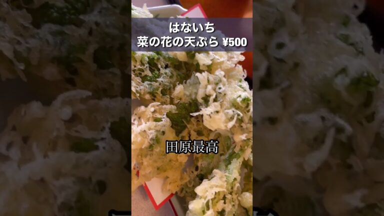【はないち】菜の花の天ぷら #shorts #豊橋 #田原
