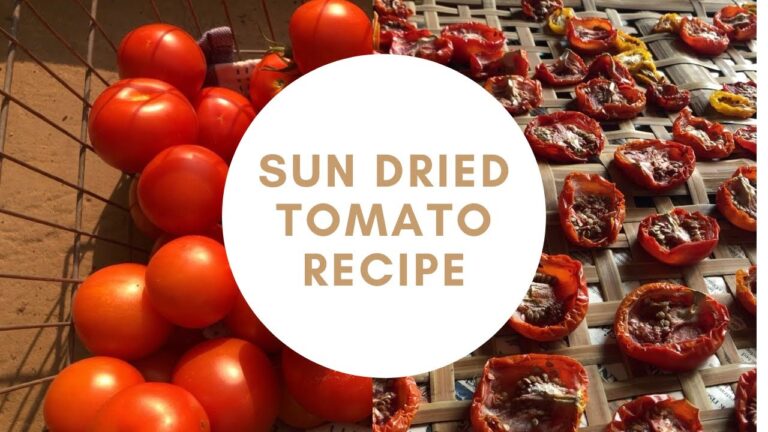 【Vlog】＃3　サンドライトマト｜トマトのパスタ｜手作りニョッキ｜Sundried tomatoes｜Gnocci｜夏のレシピ付き｜Money maker｜バジル｜トマト大量消費｜ピザソース｜保存食