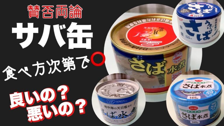サバ缶レシピ|選び方食べ方|⚠️間違えると危険| Cooking with canned mackerel