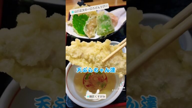 匠の讃岐うどん　鶏ささみ天ぷらうどん　麺匠くすがみ