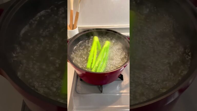 美味すぎる蒸し鶏作ってみました。#shorts #蒸し鶏  #レシピ